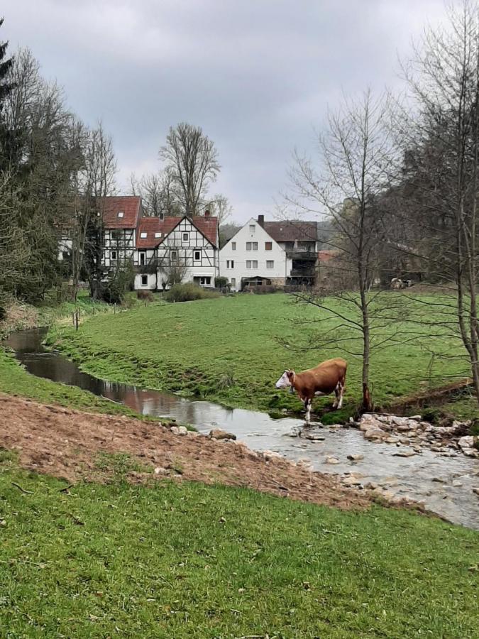 Haus An Der Werbe Lejlighed Waldeck  Eksteriør billede