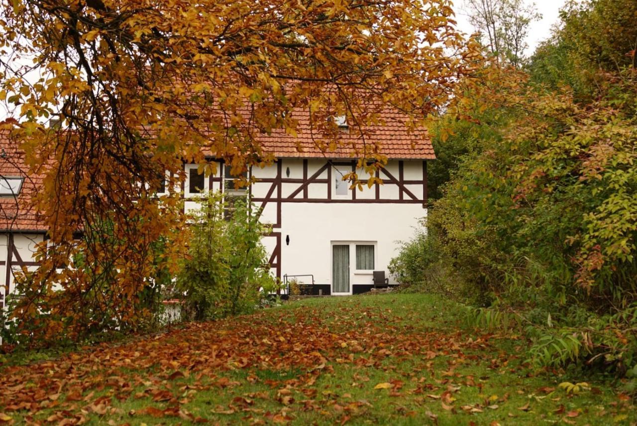 Haus An Der Werbe Lejlighed Waldeck  Eksteriør billede