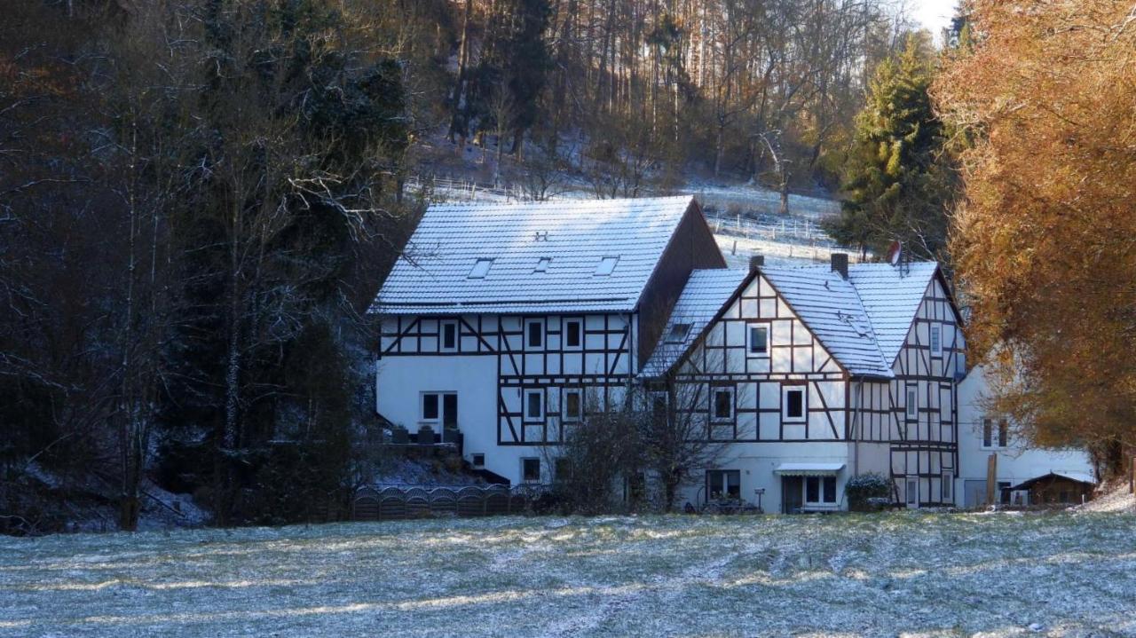Haus An Der Werbe Lejlighed Waldeck  Eksteriør billede