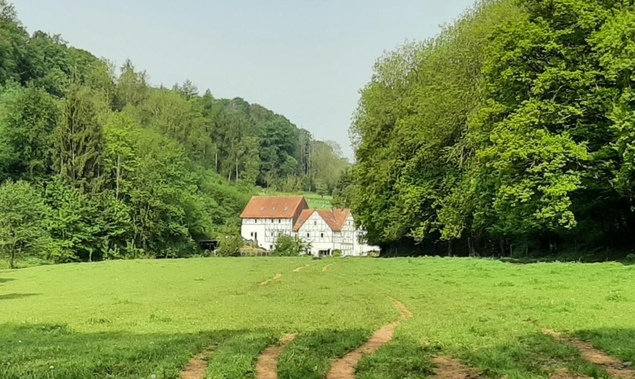 Haus An Der Werbe Lejlighed Waldeck  Eksteriør billede